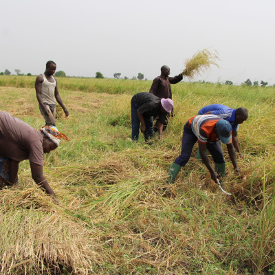 Cameroun Success story 
